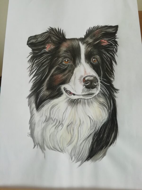 Coco, mi mejor amigo - Imagen 2