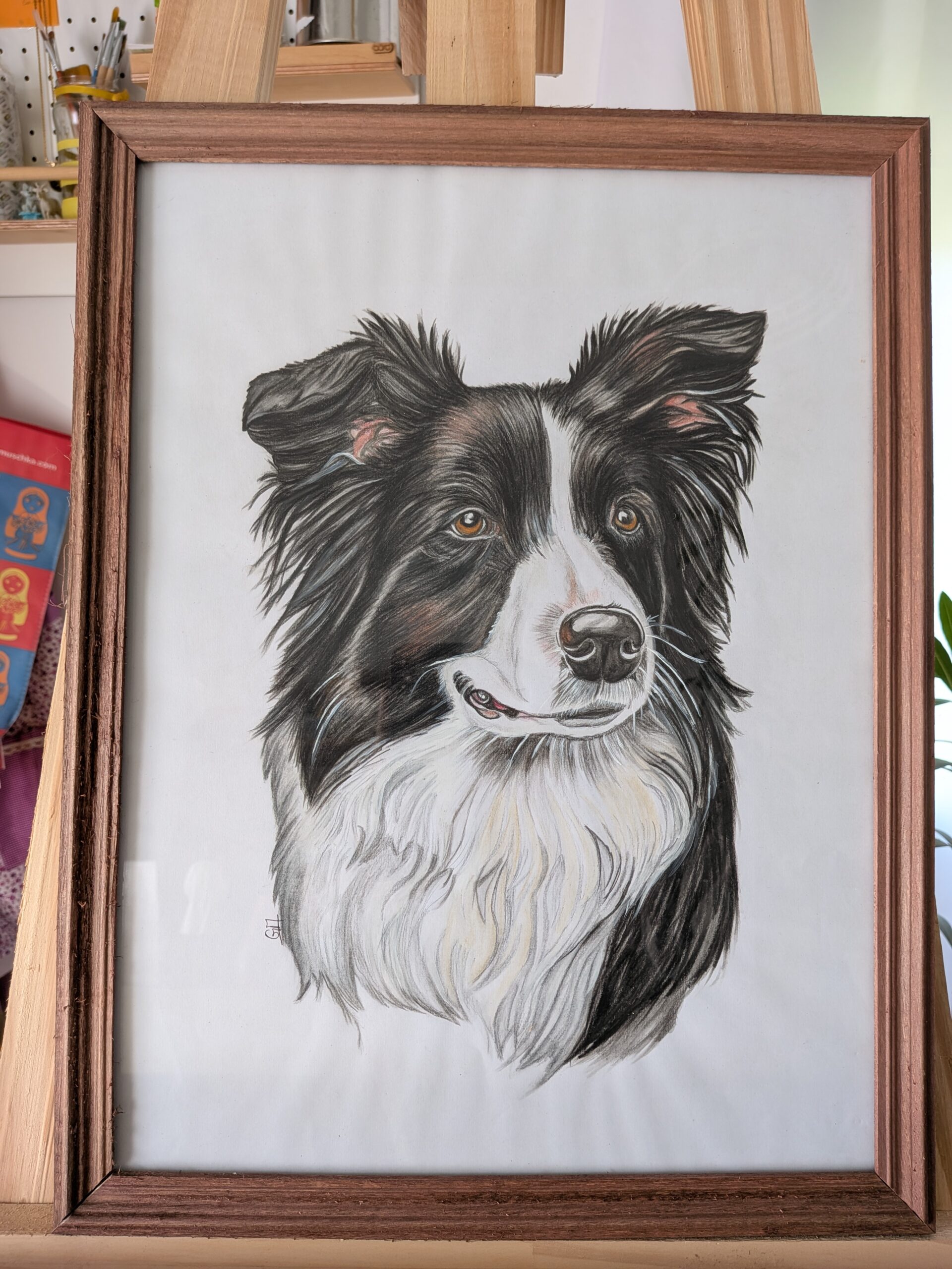 Coco, mi mejor amigo Coco, mi mejor amigo - Imagen 2