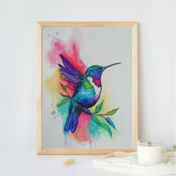 Colibrí de colores