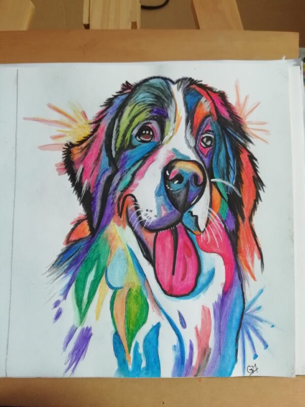 Bora de Colores - Imagen 2
