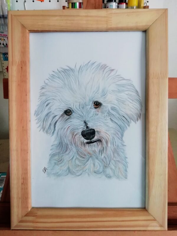 Copito - Imagen 3