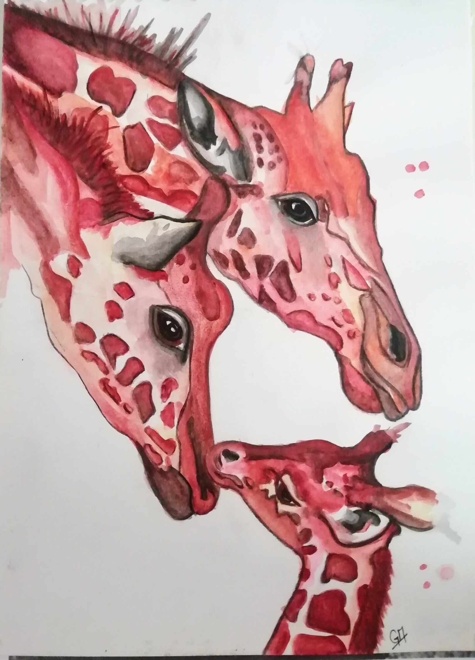 Tres Jirafas Tres Jirafas - Imagen 4