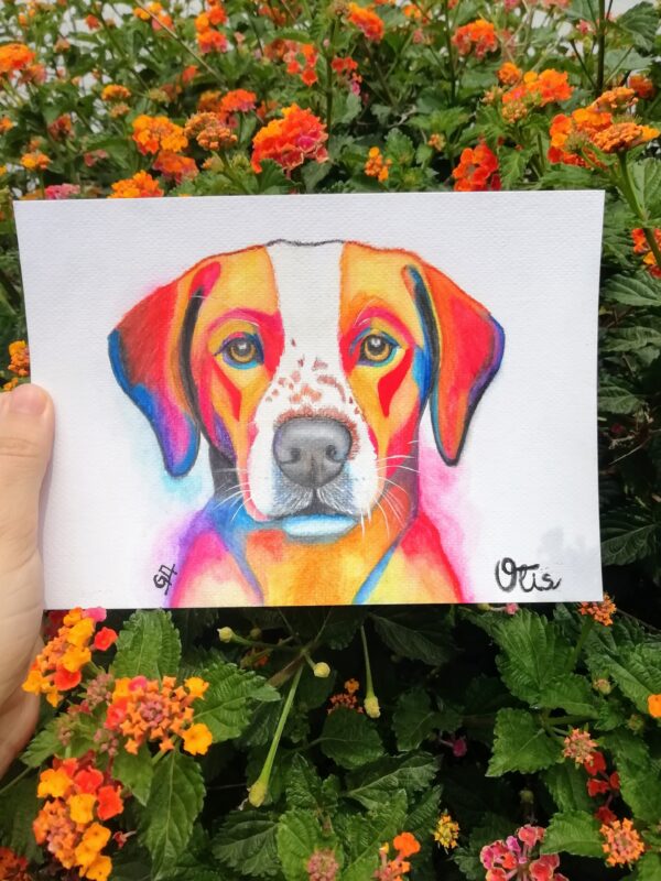 Ottis - Imagen 2