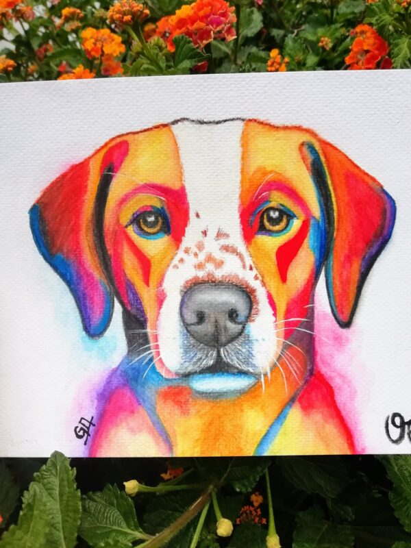 Ottis