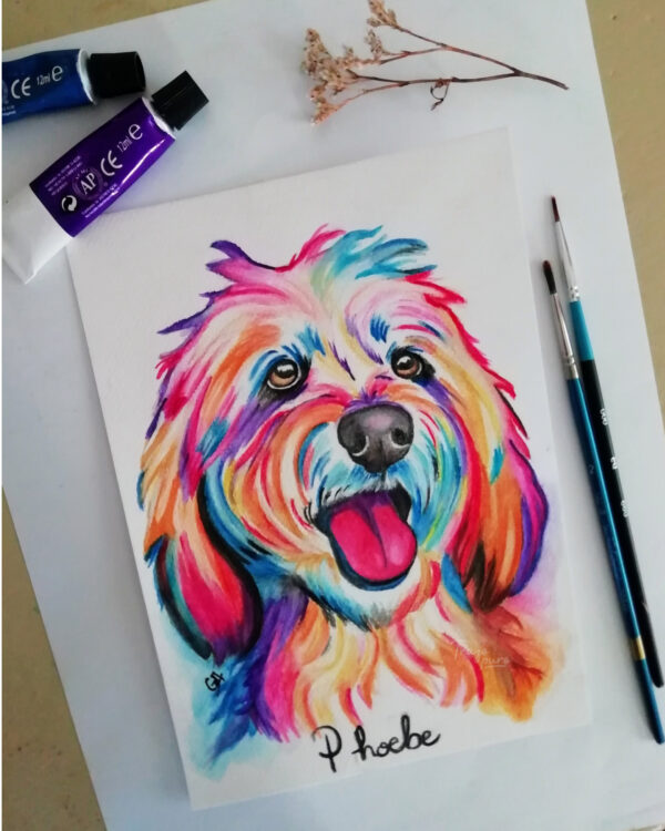 Phoebe de Colores